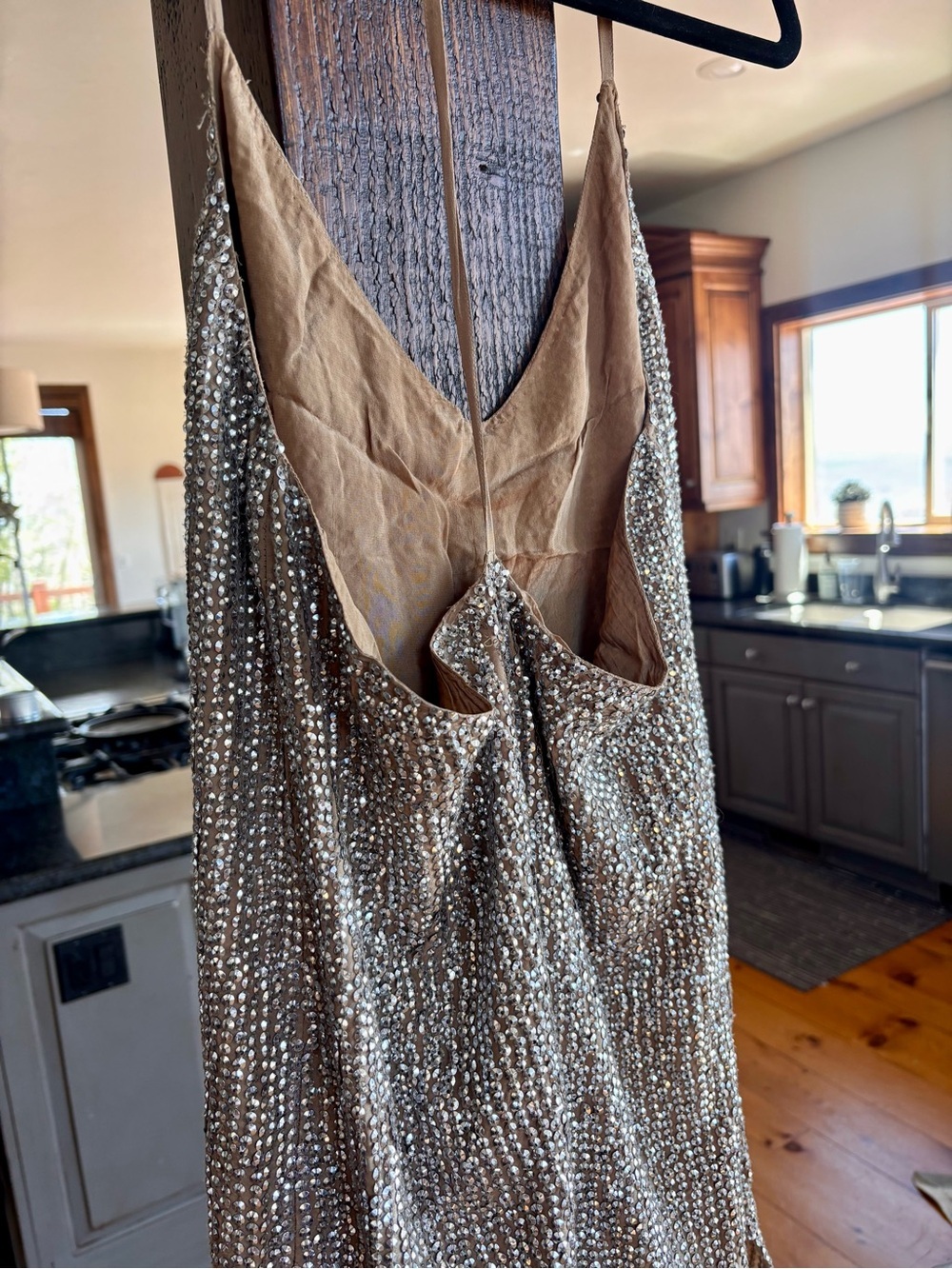 Haute Hippie Champagne Silver Sequin Embellished Slip Dress - Picture 11 of 14
